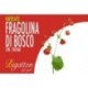 Variegato Fragolina di Bosco Bigatton — etichetta