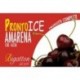 Pronto Ice Amarena Bigatton — product label