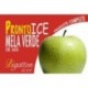 Pronto Ice Mela Verde Bigatton — etichetta prodotto