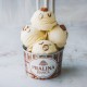 Weiße Pralinen Aromapaste Bigatton — Eiscreme im Becher (1,2 kg)