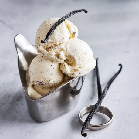 Gelato alla vaniglia super premium Bigatton in coppa moderna con baccelli di vaniglia