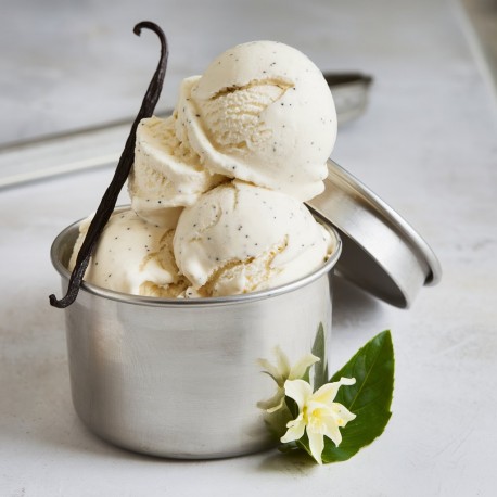 Pasta aromatizante Vainilla Blanca Bigatton — helado de vainilla en copa con vainas de vainilla