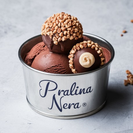 Pâte aromatisante Pralina Nera Rocher Bigatton — glace en coupe avec pralines (0,9 kg)