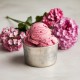 Pâte aromatisante Géranium Bigatton — glace au géranium en coupe