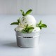 MENTA BLANCA