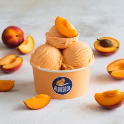 Pasta aromatizante Damasco Bigatton — gelado de damasco em taça com pedaços de damasco