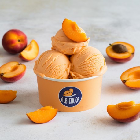Pasta aromatizzante Albicocca Bigatton — gelato all’albicocca in coppetta con pezzi di albicocca