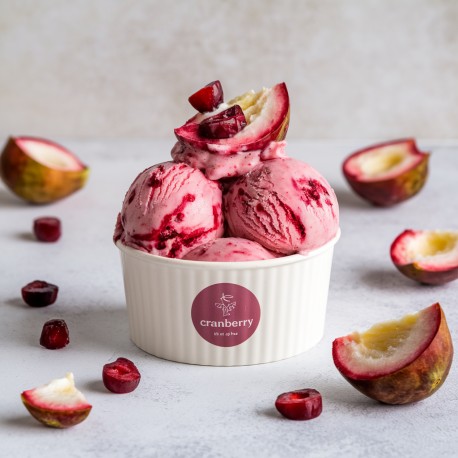 Pasta aromatizzante Cranberry Bigatton - gelato al cranberry in coppetta