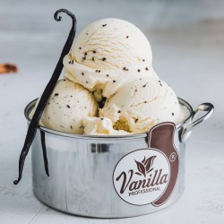 Professional vanilla flavoring paste Bigatton — gelato in cup (1.4 kg)