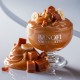 Bigatton Banofi variegate — presentation in cup