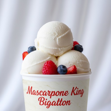 Mascarpone King flavour powder Bigatton - mascarpone ice cream in cup