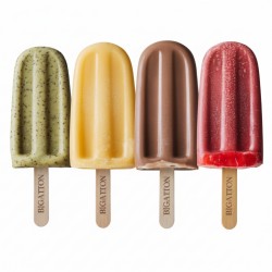 Base de helado Ready Stecco – helados con palo de varios sabores – Bigatton