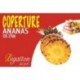 Bigatton Pineapple Coating — product label