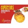 REVESTIMENTO ABACAXI