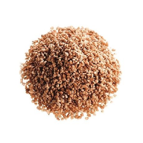 Granulés de Riz Bigatton — produit en vrac sur fond neutre