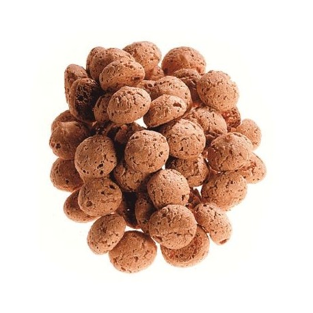 Amarettini Diam. 2 cm Bigatton — loose product on neutral background